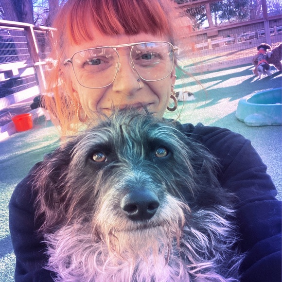 Meet your Posher, Millie - Picture 2 of 2